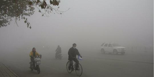 PM2.5爆表的時代紫羅蘭家紡生機科技讓你在森林里入眠