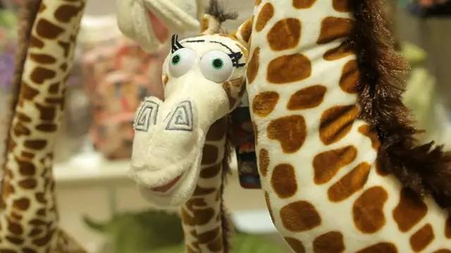 L(fng)ҺꖵĄPʢҾ^µ_I(y)Ȳȥ