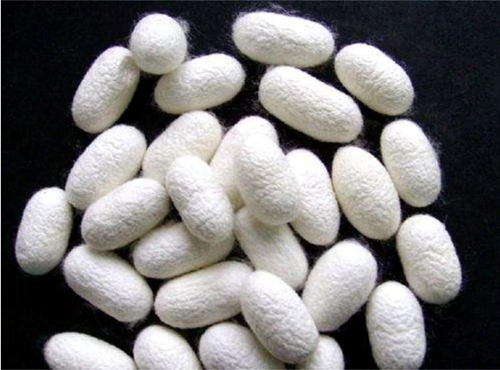 同樣是絲巾,奧羅拉憑什么敢說媲美愛馬仕?