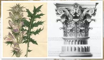 博洋家紡嘉鼎華庭:古典氣韻與簡約的碰撞