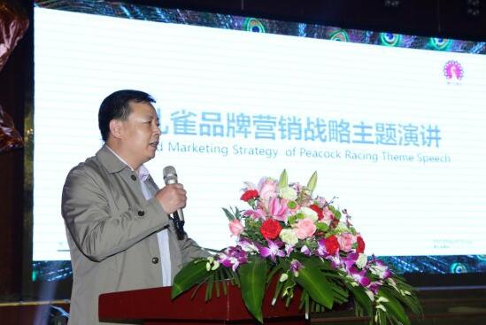 李曉龍:賽孔雀優(yōu)質(zhì)平價(jià)推動(dòng)行業(yè)健康大發(fā)展