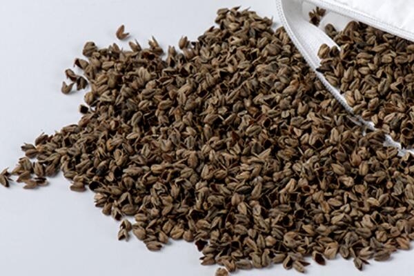 ȻѻҼĸɽwsߴ﷦