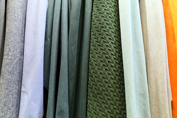 25dδ(li)k--2019ﶬҼչڇ(gu)ҕ(hu)չģϺA_(ki)Ļ