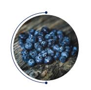 ̫ƳƷ--2020֮䡰{ϵ