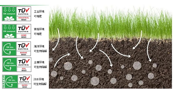 ۽ɳm(x)l(f)չc(din)ṩSQmЄ(dng)