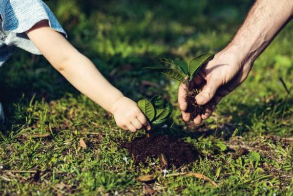 cp感拉滿!當(dāng)家紡家居面料遇上蘭精天絲™品牌纖維