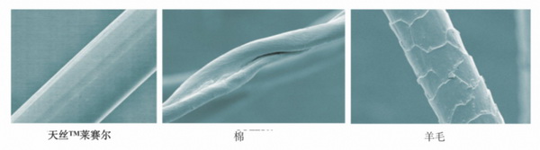 cp感拉滿!當(dāng)家紡家居面料遇上蘭精天絲™品牌纖維